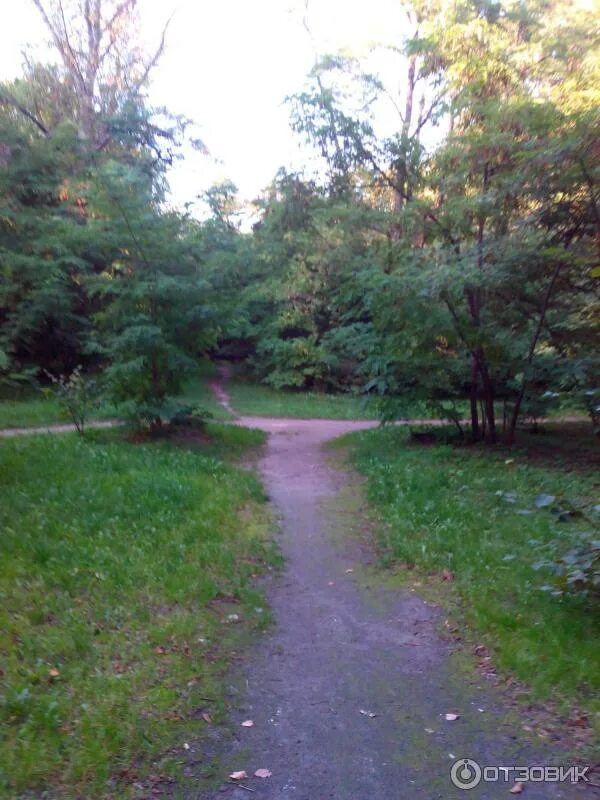 Парк кзтз курск парк кзтз фото Отзыв о Парк КЗТЗ (Россия, Курск) Тихое местечко для прогулок на свежем воздухе 