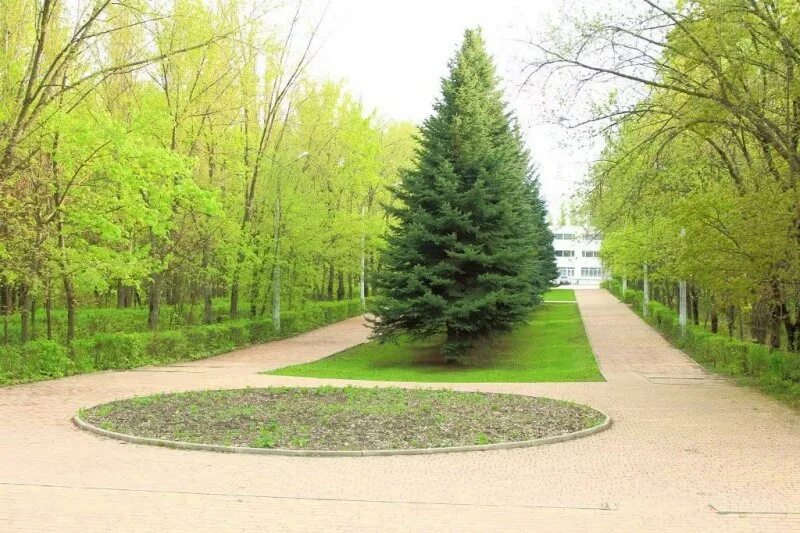 Парк кзтз курск парк кзтз фото В Курске парку КЗТЗ исполнилось 65 лет " 46ТВ Курское Интернет Телевидение