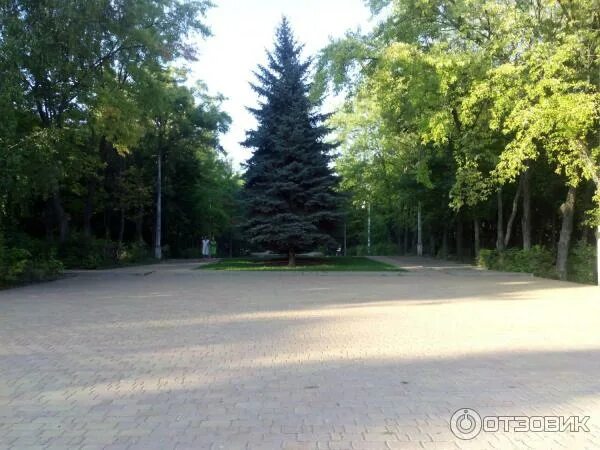Парк кзтз курск парк кзтз фото Отзыв о Парк КЗТЗ (Россия, Курск) Тихое местечко для прогулок на свежем воздухе 
