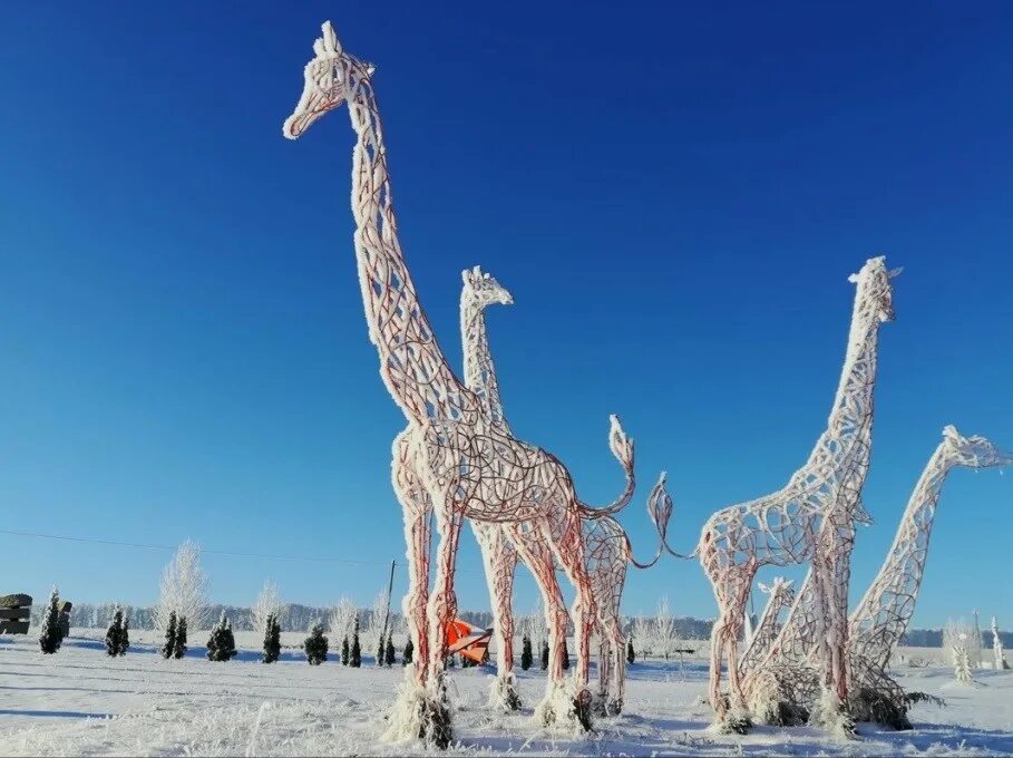 Парк легенда пенза фото Всероссийская премия туристических маршрутов. Russian Travel Tour Awards. " Ярки