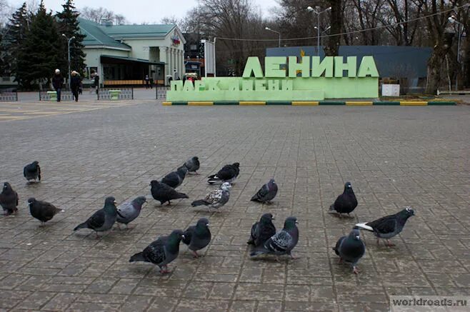 Парк ленина батайск фото Администрация г. Батайска ищет подрядчика для благоустройства парков и скверов -