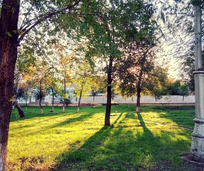 Парк ленина оренбург фото Железнодорожный парк - Фото