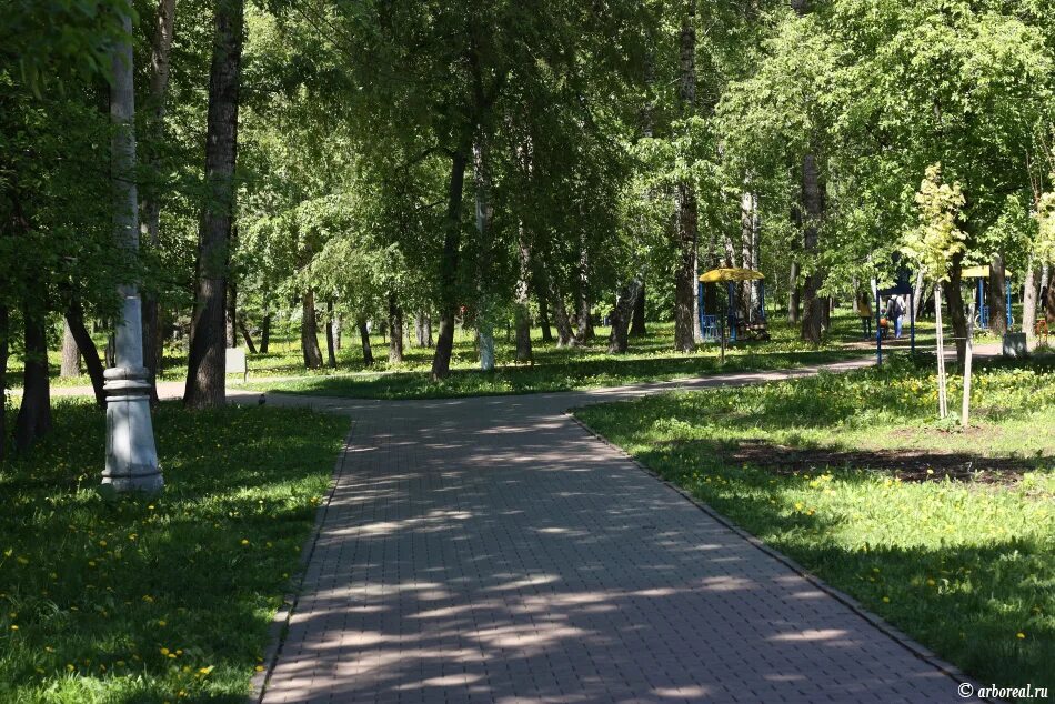 Парк леонидовка мытищи фото Мытищинский городской парк Arboreal.ru