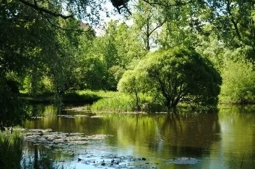 Парк лесотехнической академии фото park's Парк Лесотехнической академии in specifics, Институтский переулок, 5 - Ya