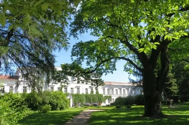 Парк лесотехнической академии институтский пер 5 фото В парке Лесотехнической академии нашли столетний артиллерийский снаряд https://v