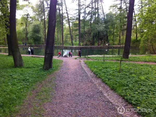 Парк лесотехнической академии институтский пер 5 фото Отзыв о Парк Лесотехнической академии (Россия, Санкт-Петербург) Печальные парки 