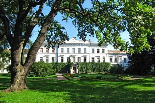 Парк лесотехнической академии санкт петербург фото Парк лесотехнической академии