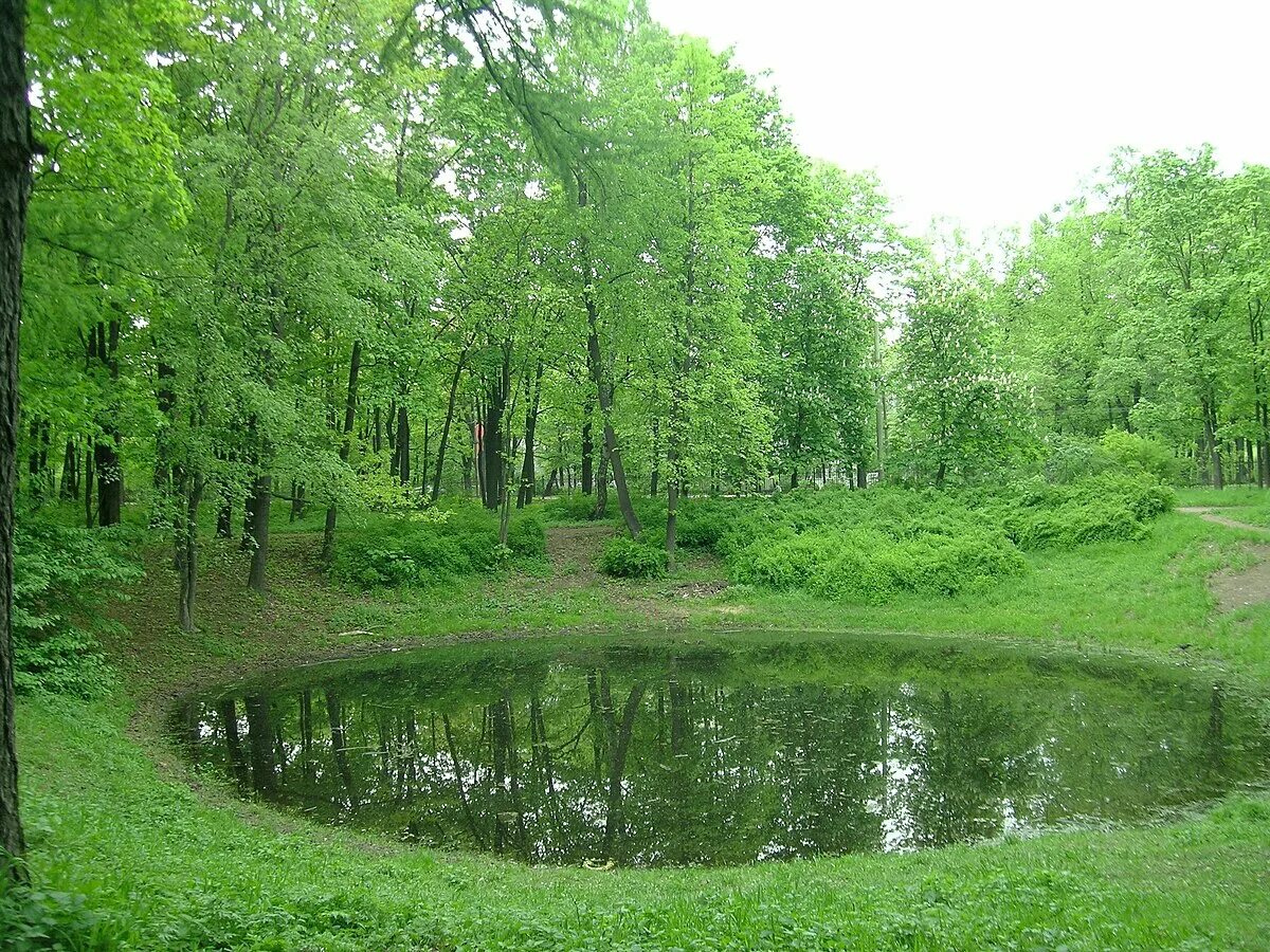 Парк лесотехнической академии санкт петербург фото Файл:Park of Saint Petersburg State Forestry Academy (3).jpg - Википедия