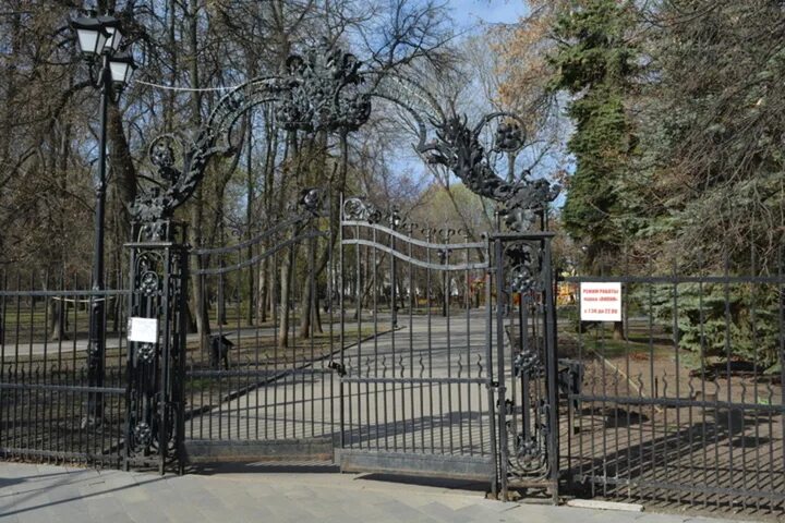 Парк липки саратов фото В "Липках" вырубят в восемь раз меньше деревьев, чем планировали изначально - ИА