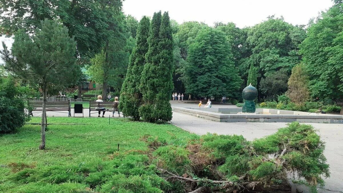 Парк липки саратов фото В Саратове после хозяйственных работ открылся парк Липки Reporter64 Saratov Дзен