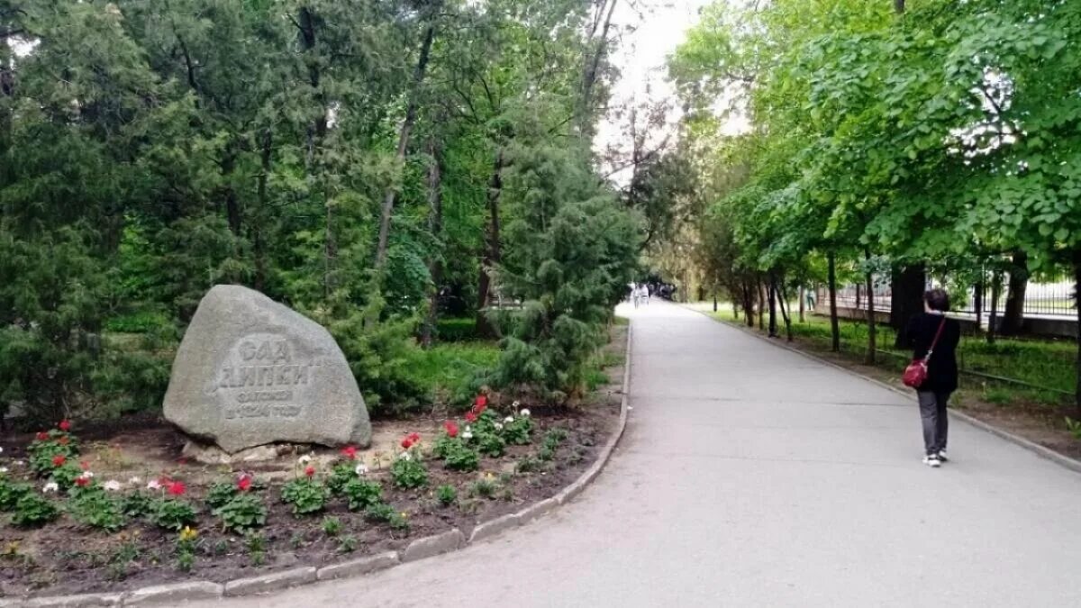 Парк липки саратов фото Панков анонсировал благоустройство парка "Липки" в 2024 году Reporter64 Saratov 