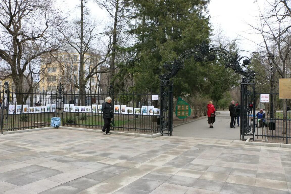 Парк липки саратов фото Парк "Липки" готов к сезону отдыха Новости Саратова и Саратовской области сегодн