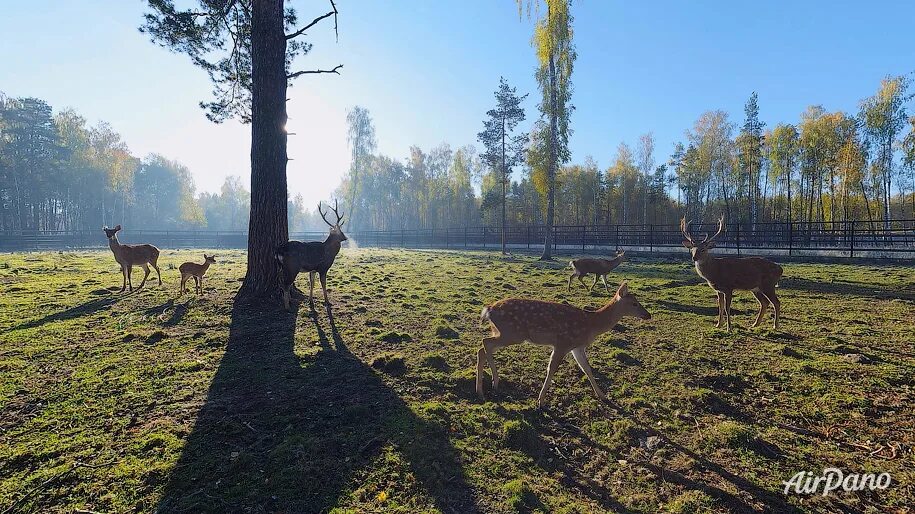Парк лосиный остров фото Национальный парк Лосиный остров, Москва