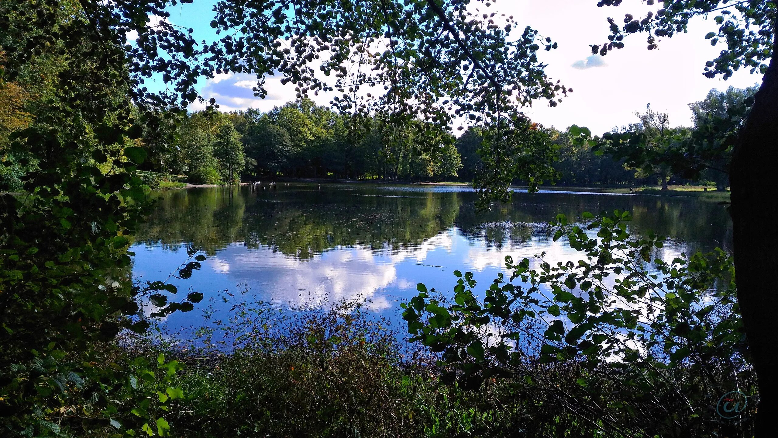 Парк макса ашманна калининград фото Парк Макса Ашманна Калининград (много фото) - viewsnap.ru