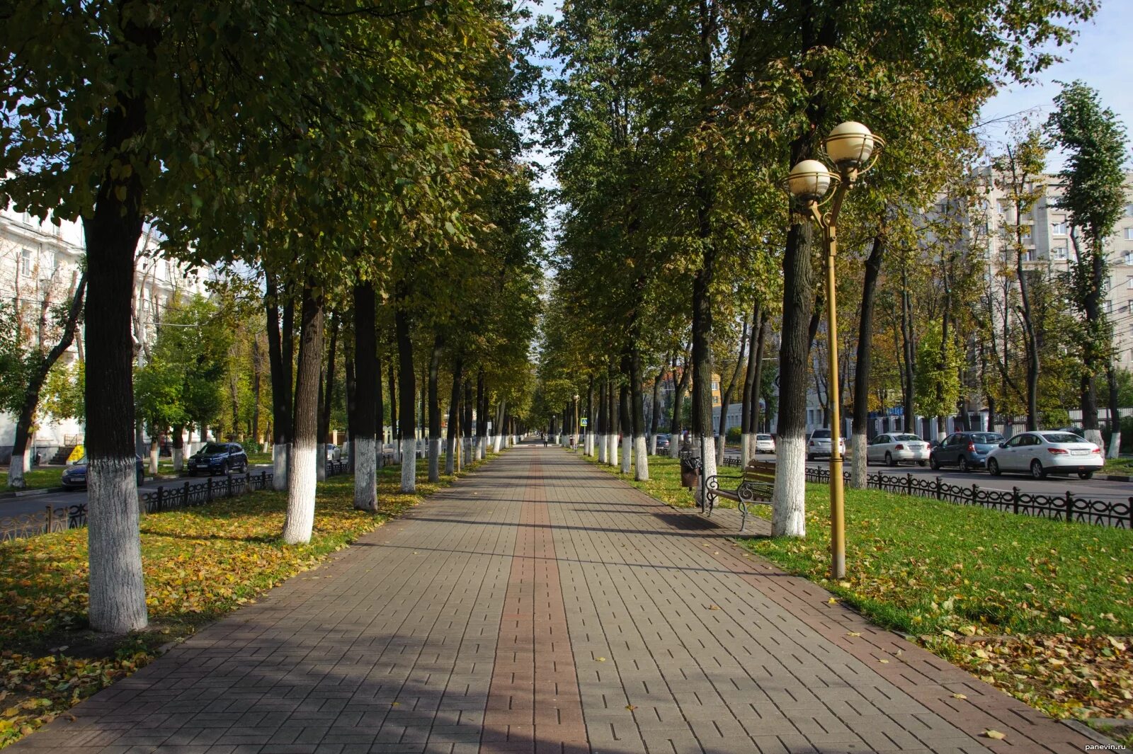 Парк мира ярославль проспект ленина фото Аллея по проспекту Ленина фото - Ярославль - Фотографии и путешествия © Андрей П