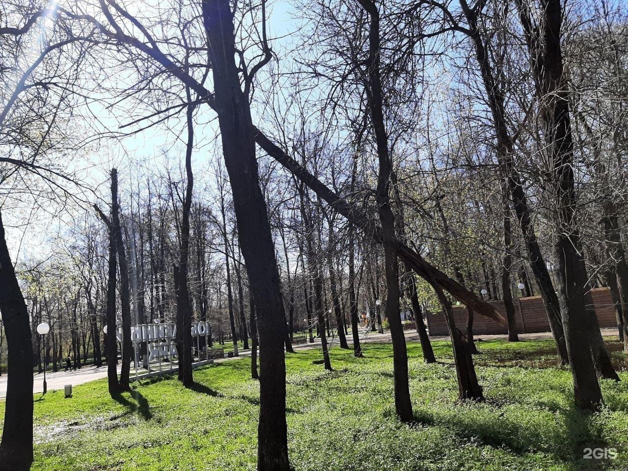 Парк мира ярославль проспект ленина фото Ленинский проспект лето