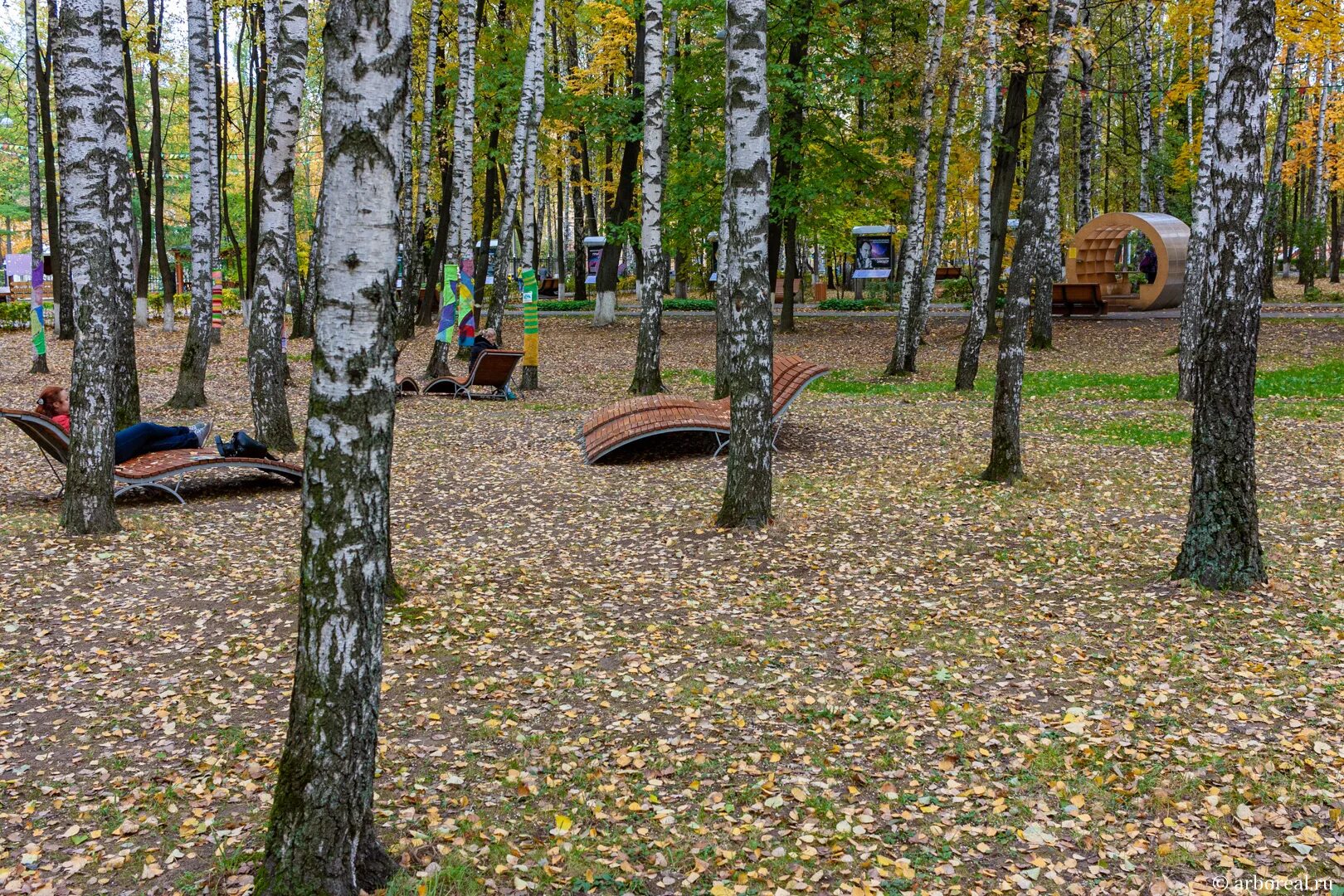 Парк на королева фото Парки Королёва