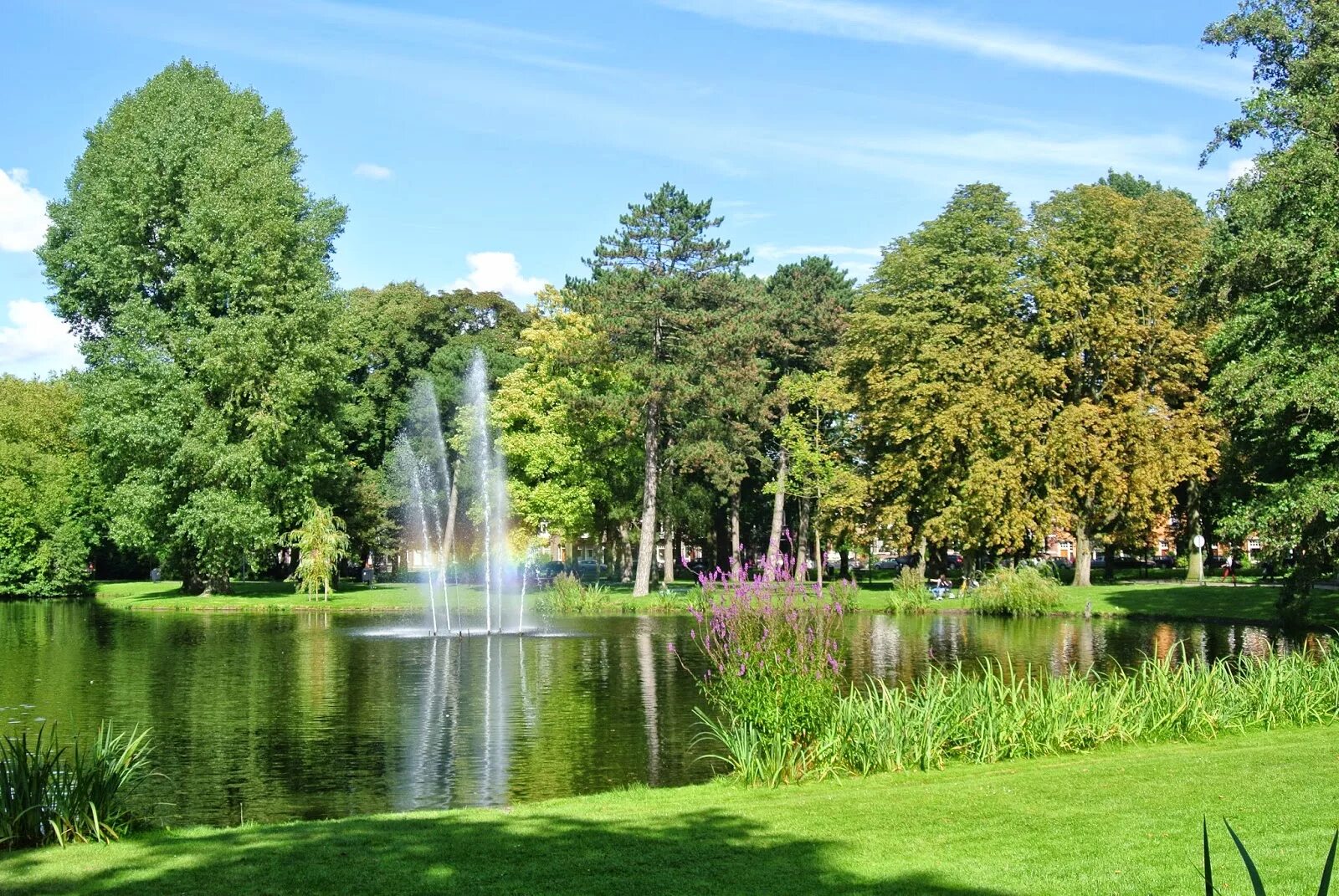 Парк на королева фото Картинки ПАРКИ Г КОРОЛЕВ