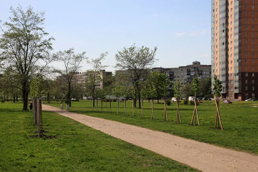 Парк на турку спб фото проекта Бывшая "Аллея блогеров" - Санкт-Петербург