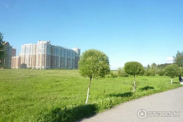 Парк охта оккервиль санкт петербург фото Отзыв о Парк "Новый Оккервиль" (Россия, Санкт-Петербург) Отличное место для семе