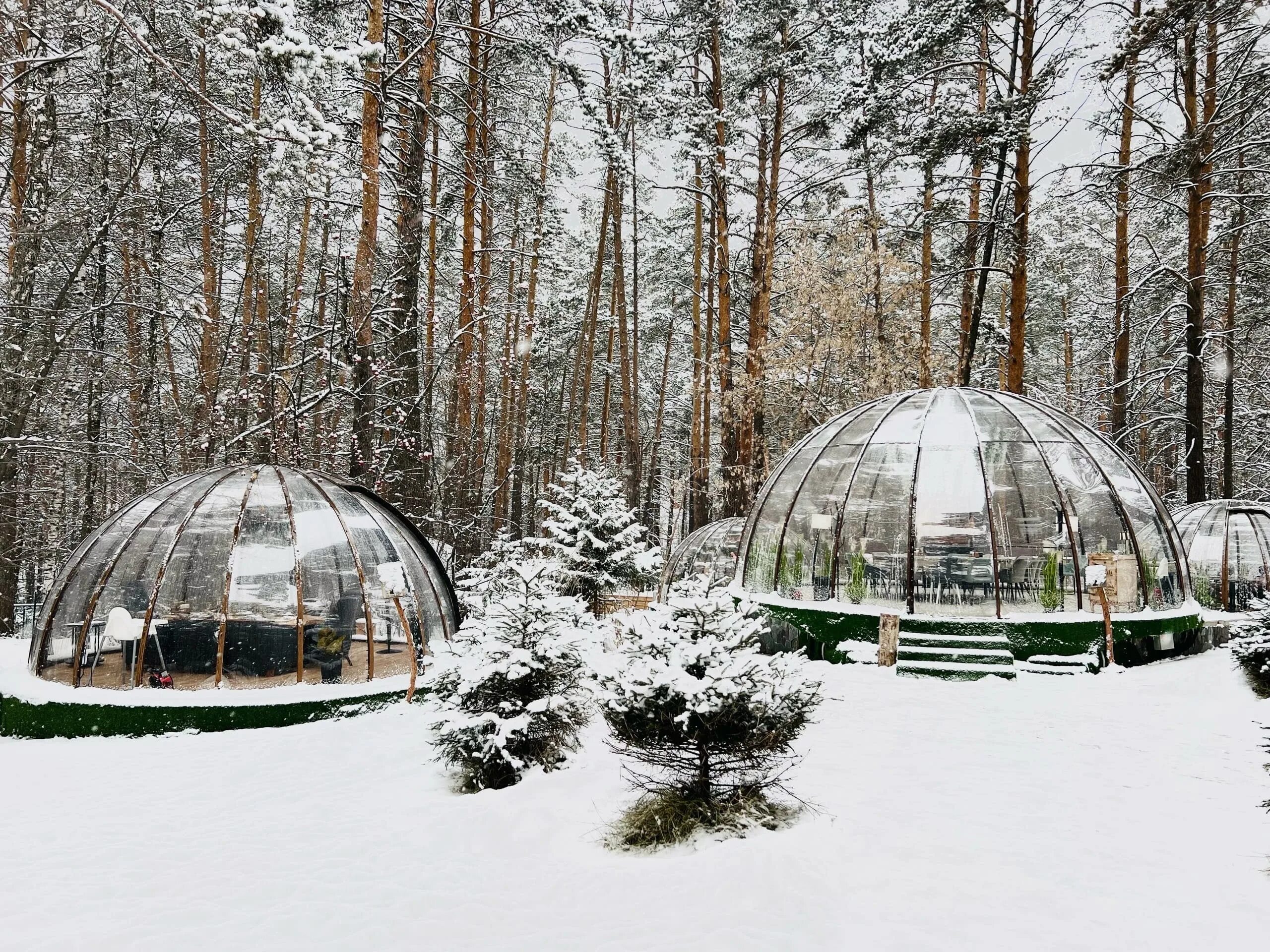 Парк отель хвоя бердск фото Парк-отель (глэмпинг) Хвоя в Новосибирске - цены 2024 Трипинглэмп