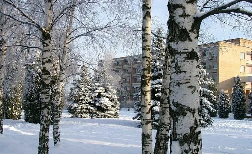 Парк отель софрино подмосковье фото Парк-отель Софрино - Все включено в Подмосковье!