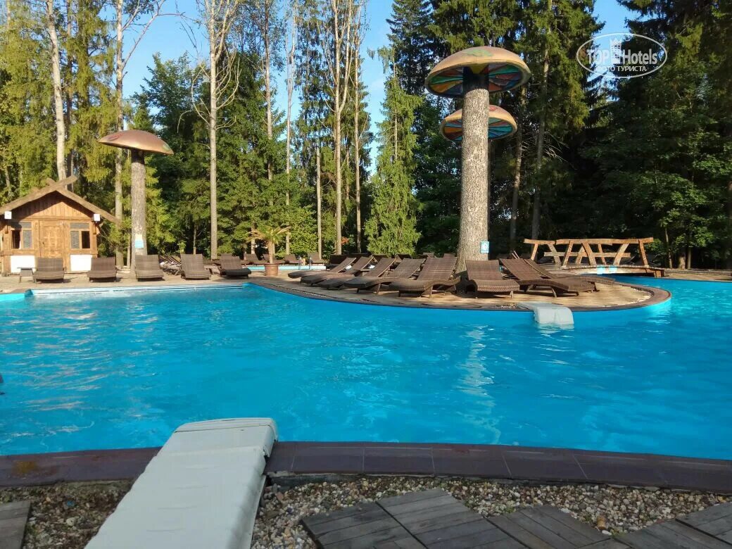 Парк отель солнечный в подмосковье фото Фото и видео отеля Солнечный Park Hotel & Spa. Рейтинг отелей и гостиниц мира - 