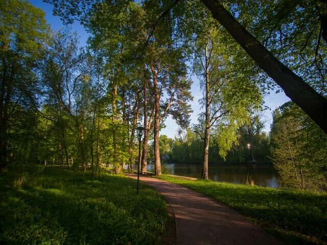 Парк отель воздвиженское фото территории Отель Парк-Отель Воздвиженское (Park-Hotel Vozdvizhenskoe) 4* (Подмосковье: Серп