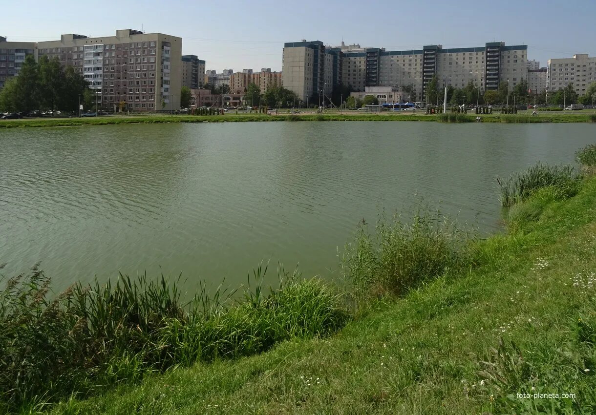 Парк озеро долгое фото Парк Озеро Долгое Приморский район Фотопланета