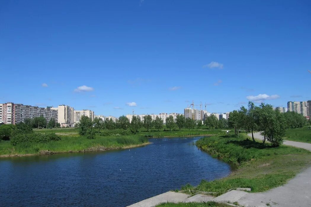 Парк озеро долгое фото Парк Озеро Долгое, Санкт-Петербург - Афиша
