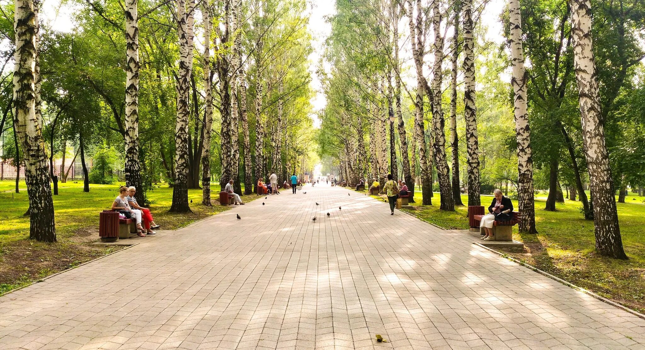Парк пермь фото Исследование: пермякам не хватает современных парков - В курсе.ру