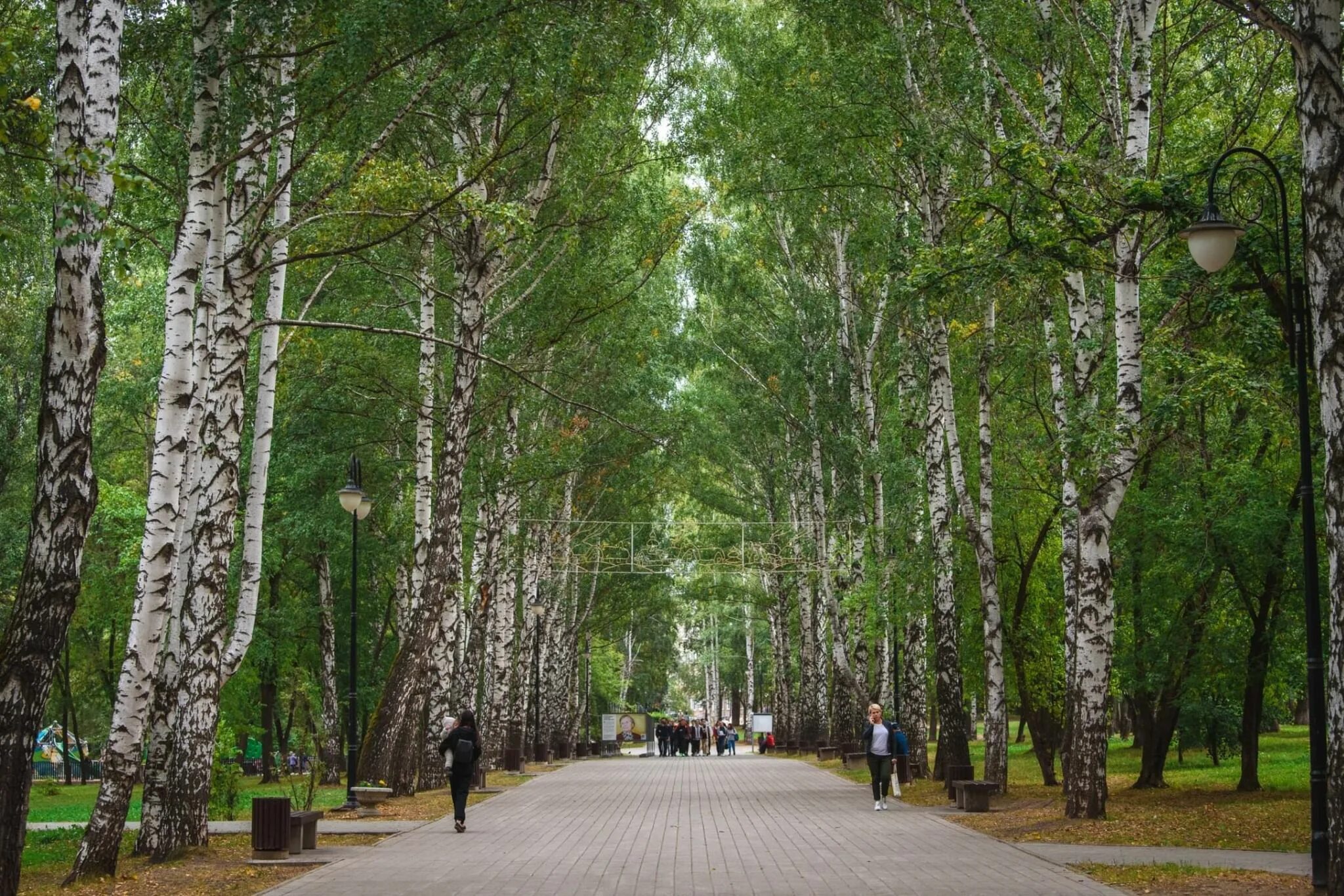 Парк пермь фото Сад имени В.Л. Миндовского - Пермь, ул. Мира, д. 9. Подробная информация о парке