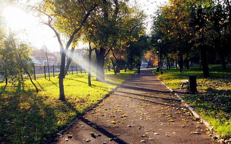 Парк перовского оренбург фото В парке Перовского одним потрясающим утром: vgannaa - ЖЖ