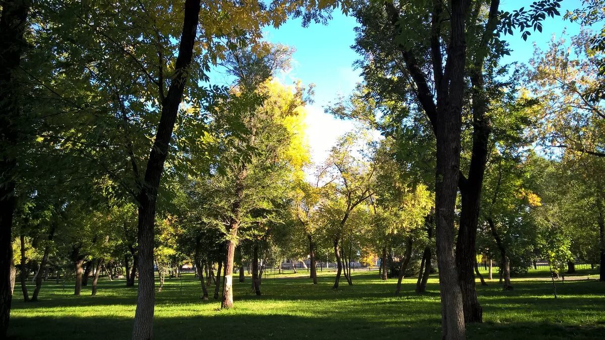 Парк перовского оренбург фото Солнечное утро осени :: Лена - Социальная сеть ФотоКто