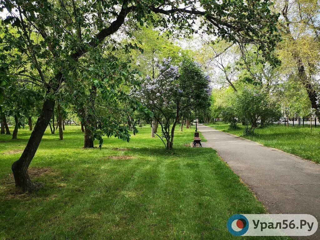 Парк перовского оренбург фото Какие территории Оренбургской области лидируют в голосовании за благоустройство?