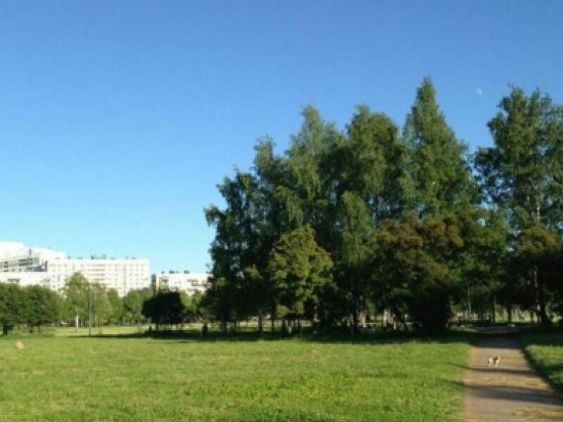 Парк пискаревский просп 6 фото Сквер академика лисицына