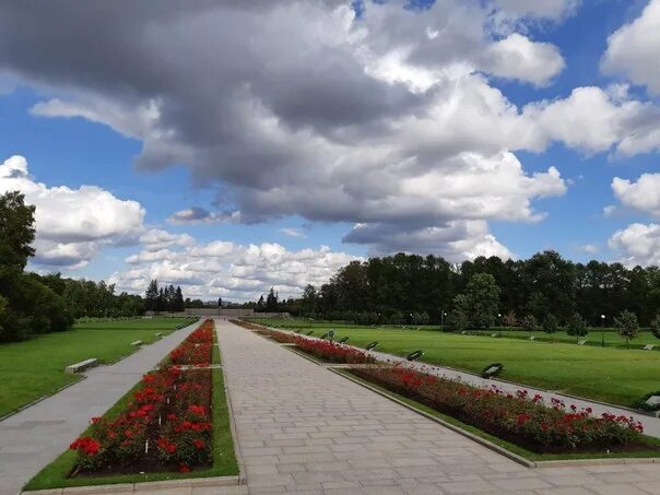 Парк пискаревский просп 6 фото Фотографии на стене сообщества - Фотография 12 из 80 ВКонтакте