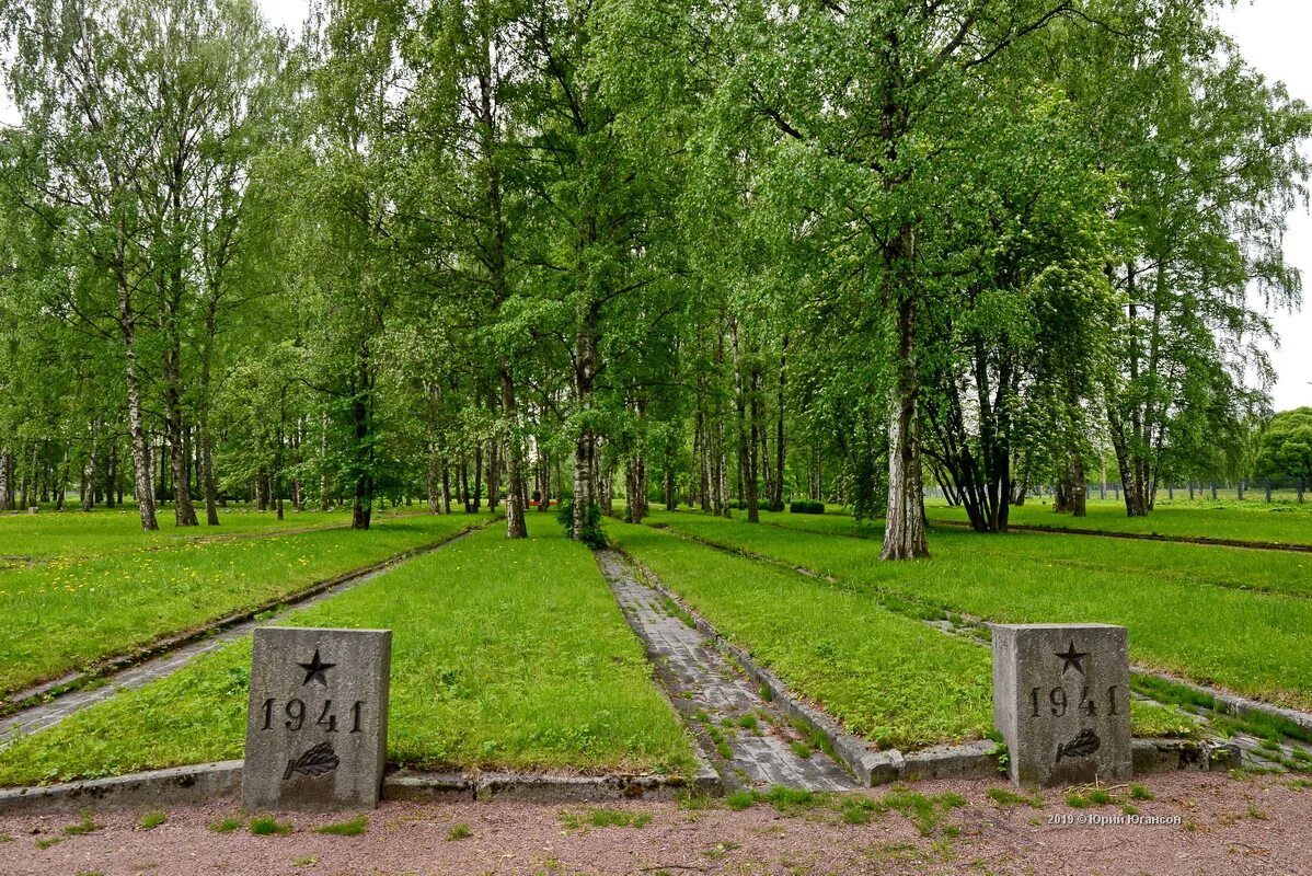 Парк пискаревский просп 6 фото Пискаревский парк - Фото