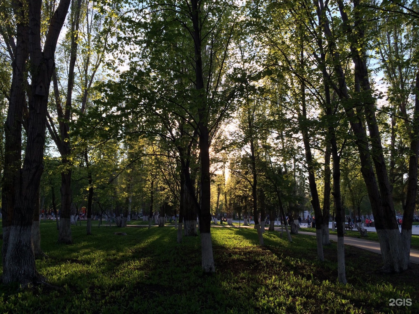 Парк победы аэродромная ул 90 фото Панорама парк самара - Фото