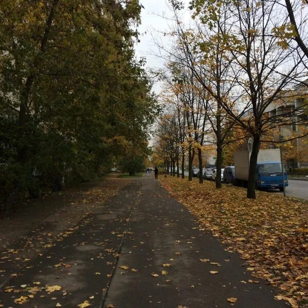 Парк победы аэродромная ул 90 фото Аэродромная улица - Округ Комендантский аэродром - Санкт-Петербург, Санкт-Петерб