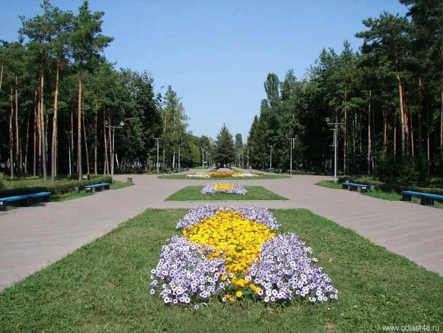 Парк победы липецк фото Картинки парк победы липецк (64 фото)