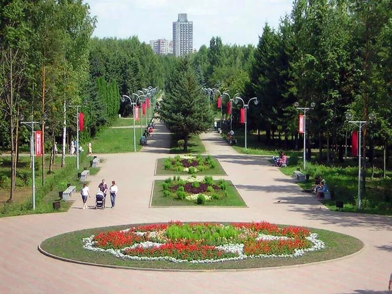 Парк победы липецк фото "Активные граждане" высадят на "Моей улице" деревья разных пород