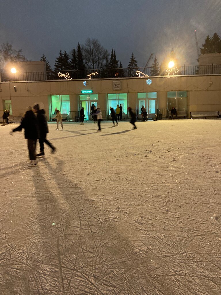 Парк победы московский просп 188 фото Каток в Парке Победы, каток, Московский просп., 188, Санкт-Петербург - Яндекс Ка
