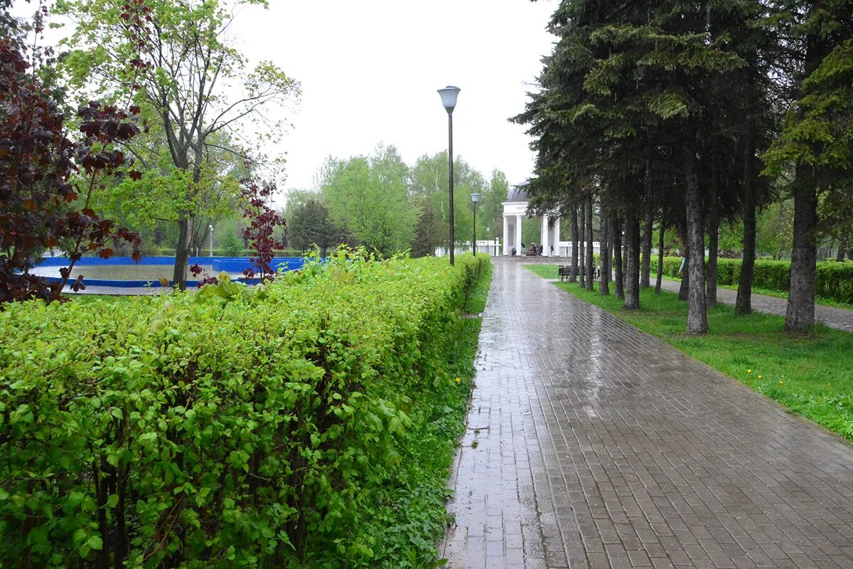 Парк победы тверь фото В Твери в парке Победы скосят траву и вычистят бассейн Твериград