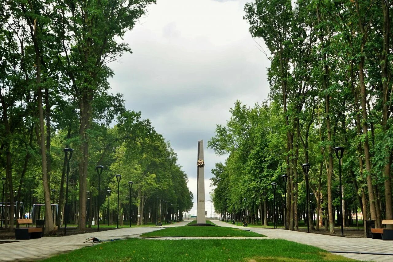 Парк победы воронеж парк победы фото В День города парк Победы станет площадкой для Фестиваля русского гостеприимства
