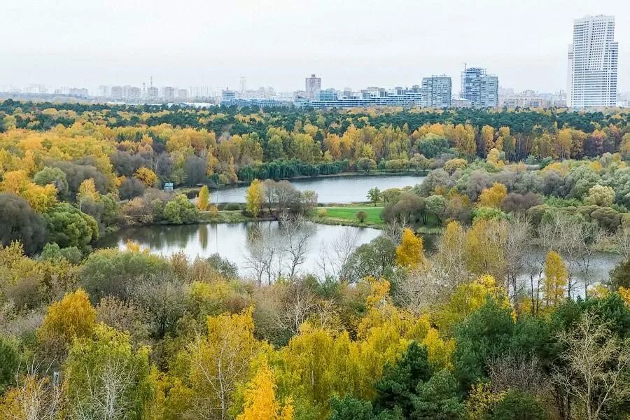 Парк покровское стрешнево москва фото ГОСТИНИЦА ПОКРОВСКОЕ-СТРЕШНЕВО МОСКВА - фото и отзывы, от 2560