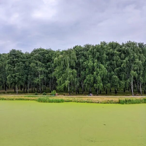 Парк пролетарского района фото A pond under a canopy of dark clouds in Proletarian Park. #тулякиделятсяфотограф