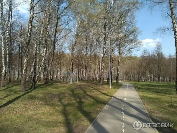 Парк пролетарского района фото Отзыв о Пролетарский парк культуры и отдыха (Россия, Тула) Отличное место для сп