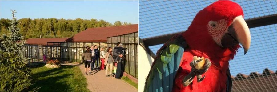 Парк птиц воробьи фото Серпухов и Парк птиц Воробьи * 19 апреля 2015 - ПУТЕШЕСТВИЯ и ЭКСКУРСИИ - LiveJo