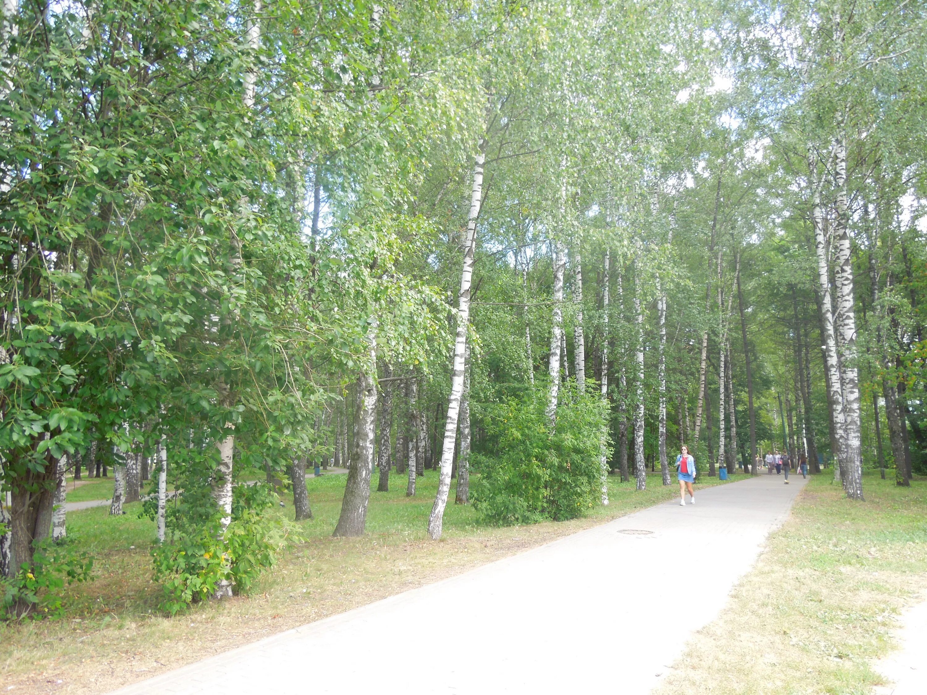 Парк пушкина нижний новгород фото Файл:Парк Пушкина (Нижний Новгород).jpg - Википедия